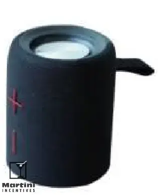 Magnetic Speaker Martini Incentives